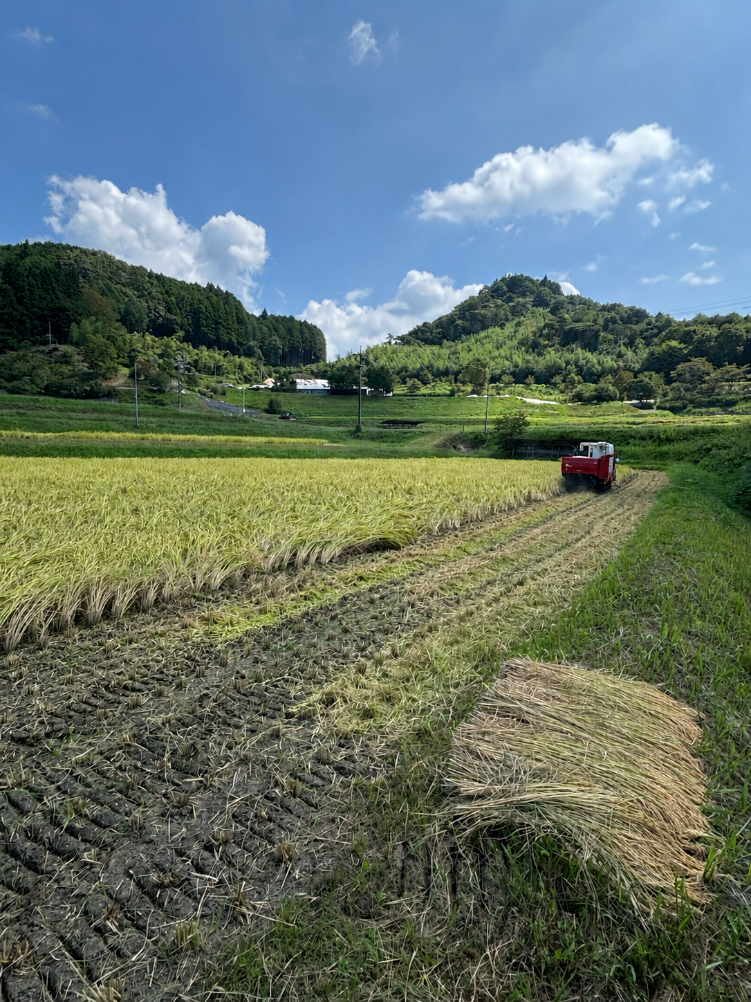 山あい、源流の町で